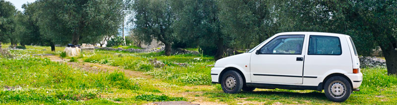 Take a tour with Mondo Italia School & Homestay  on this Fiat 500